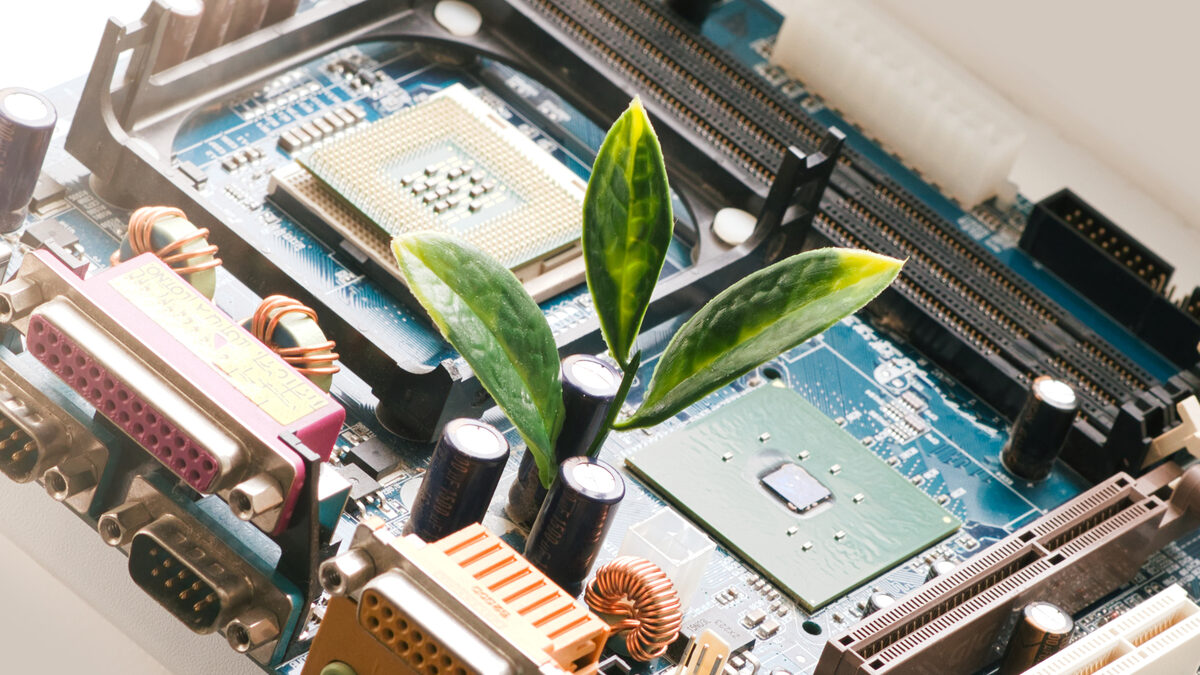 Placa de circuito com folhas verdes — conceito de tecnologia sustentável